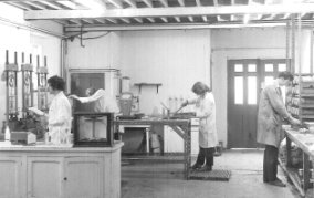 Lab